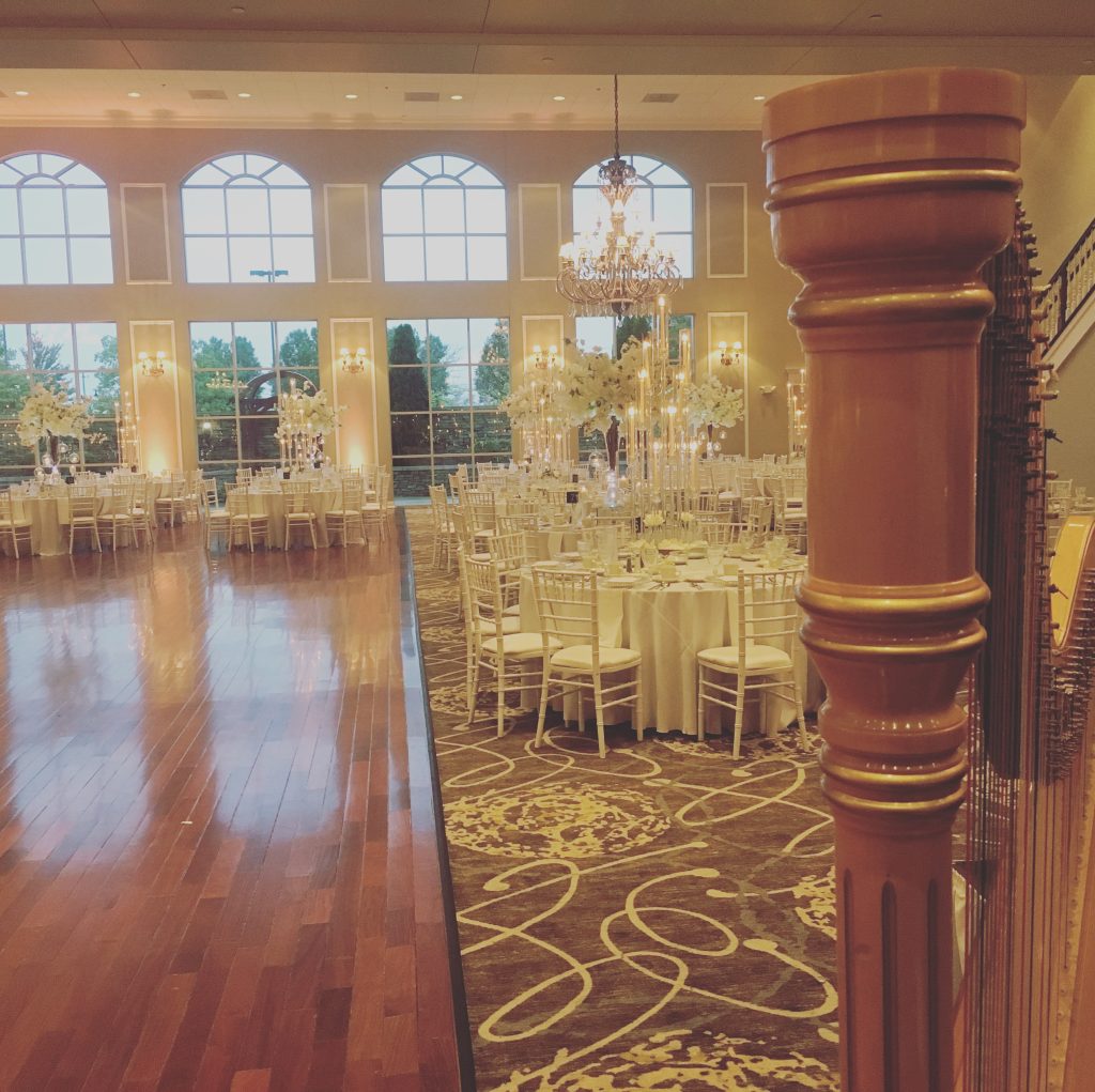 Arabic Harpist Chicago