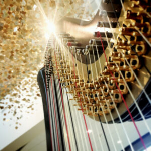 West Michigan Harpist