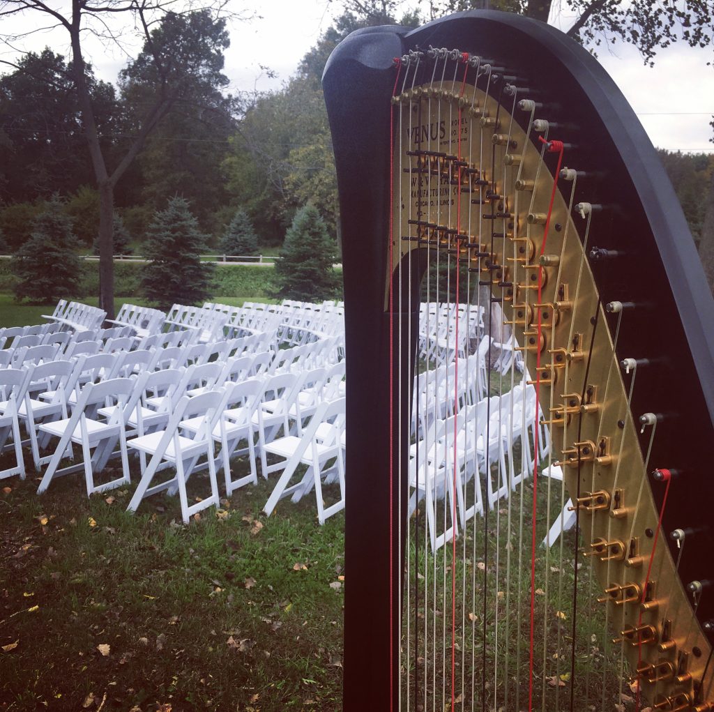Marengo Iowa Harpist
