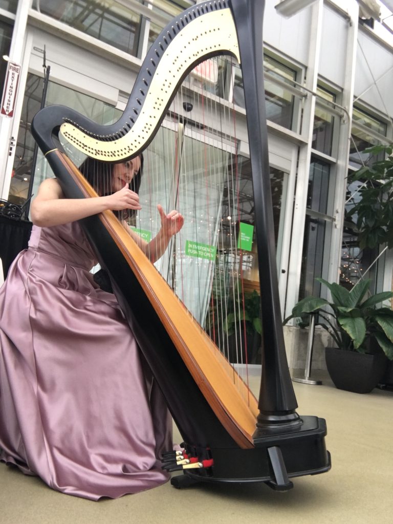 Harpist in Grand Rapids