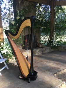 Wedding Harpist Mississippi