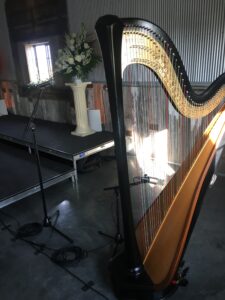 Shelbyville IL Harpist