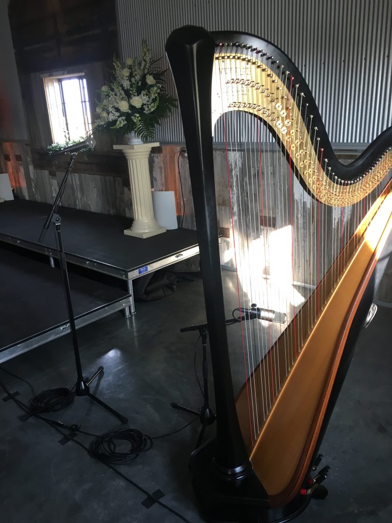 Wedding Harpist Decatur IL