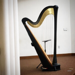 Concert Harpist Quad Cities