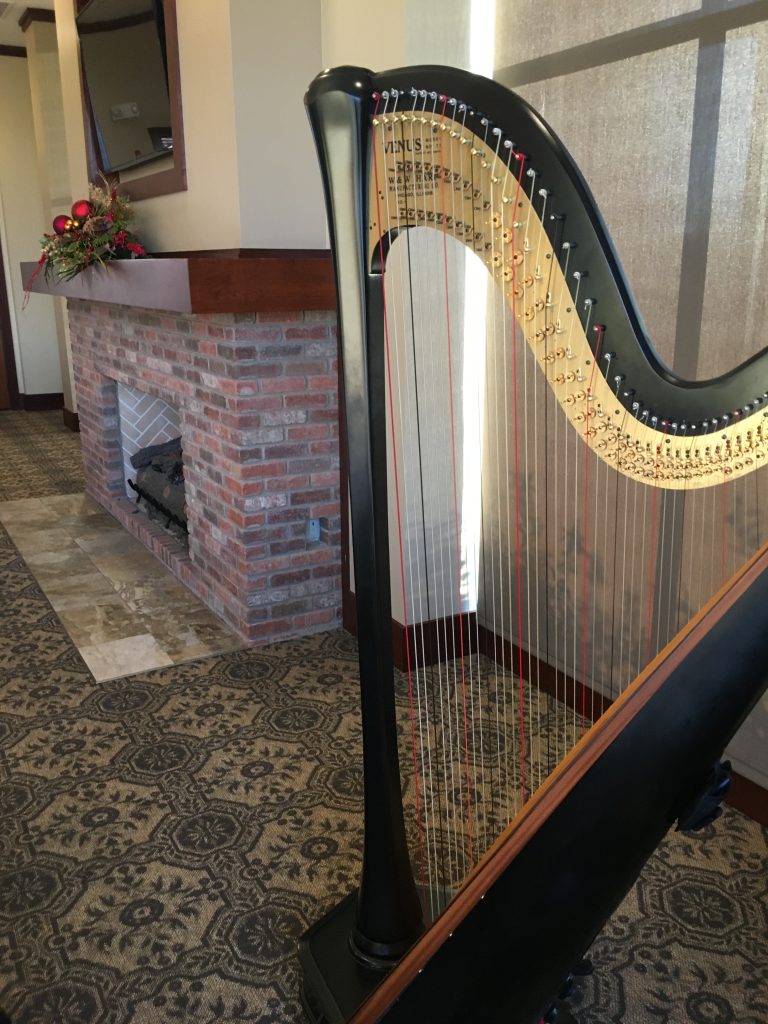 Harp Player Columbia MO