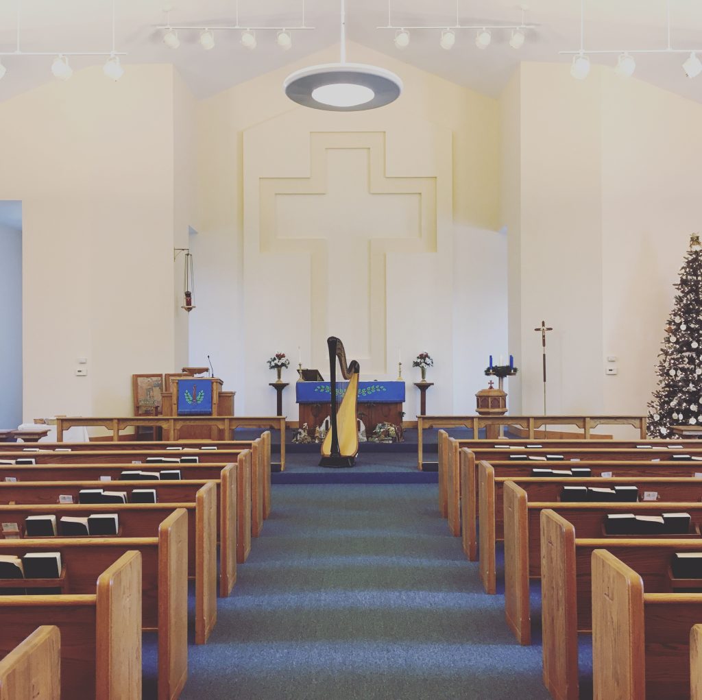 Central IL Harp Player