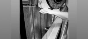 Harpist Wisconsin