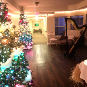 Pennsylvania Harpist for Events