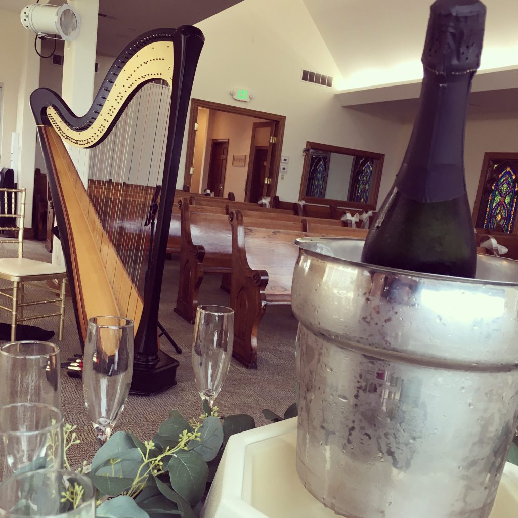 Harpist for Weddings Hermann