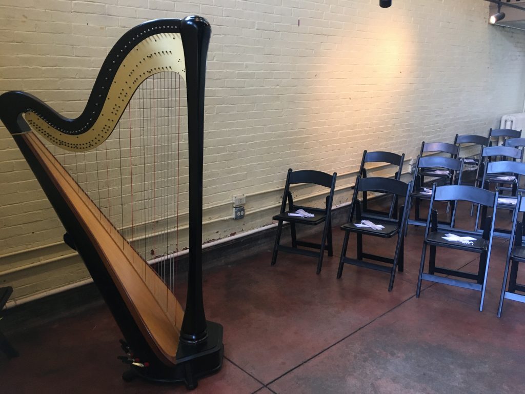 Indy Wedding Harpist