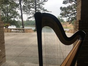 Music for Weddings Northwest Indiana