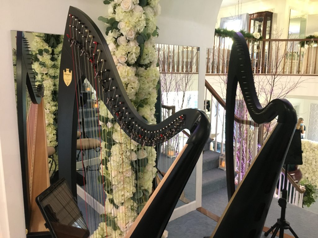 Madison Wisconsin Wedding Harpist