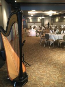 Reception Live Music Springfield IL