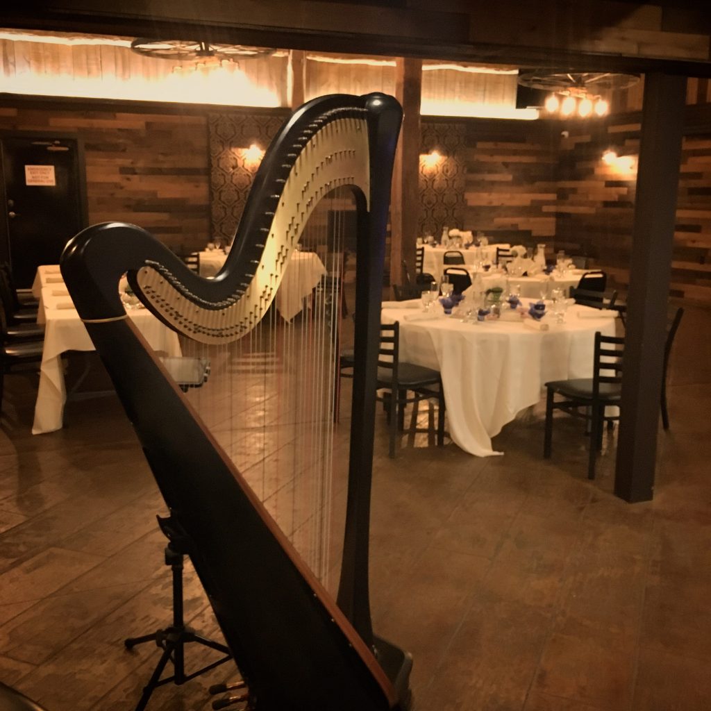 Western Wisconsin Harpist