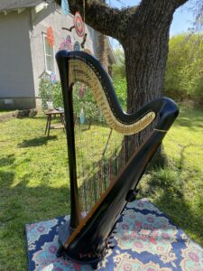 Wedding Ceremony Music in Hot Springs