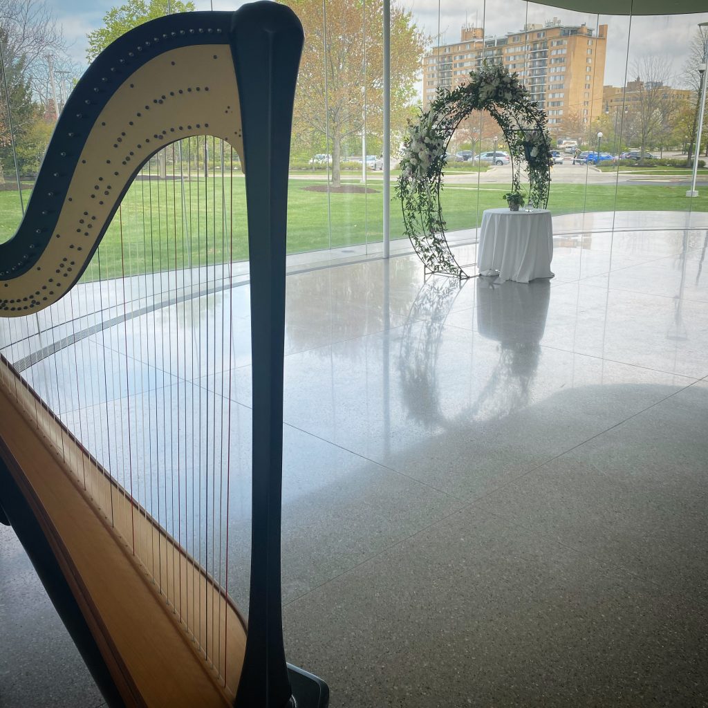 Northern Ohio Harpist