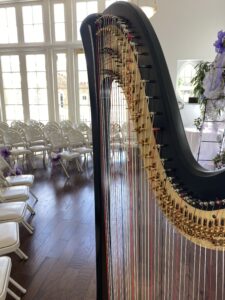 East TN Harpist