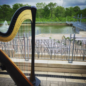 Iowa City Wedding Harpist