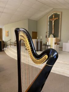South Dakota Harpist