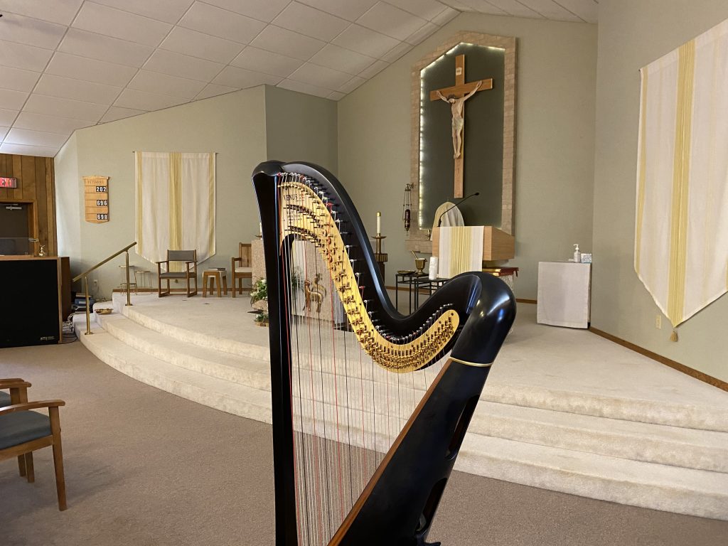 Harp Player South Dakota