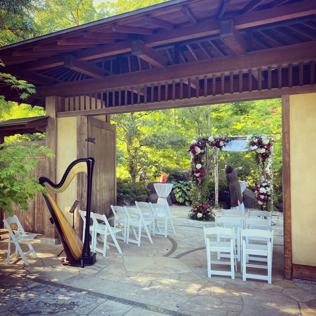 Wedding Harpist Rockford IL