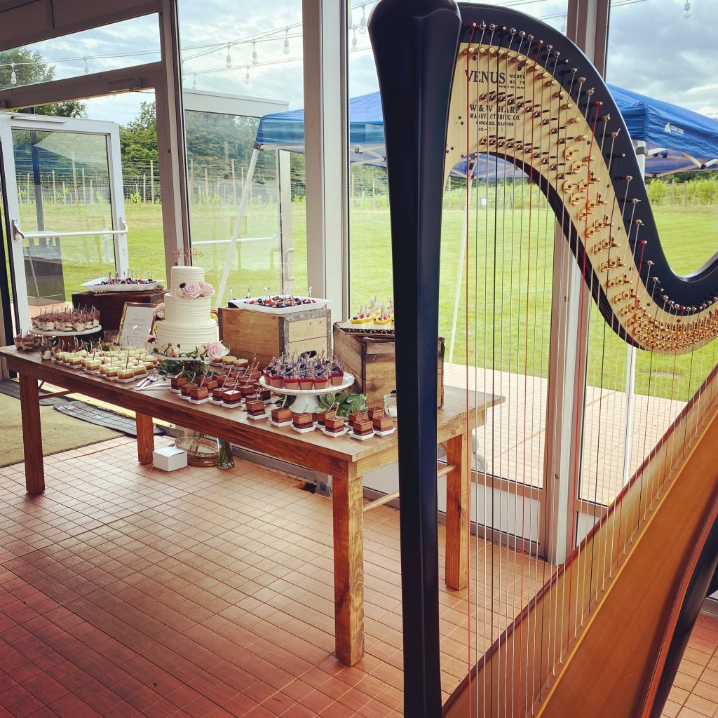 Harpist Southwest MI