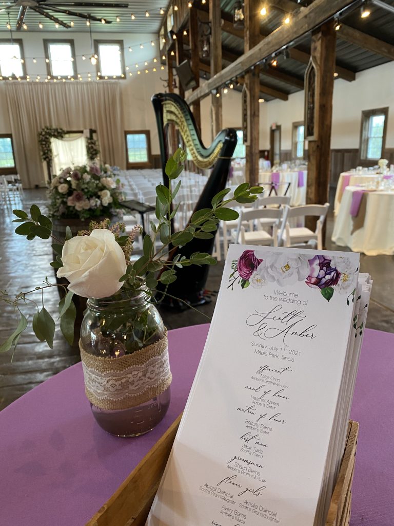 Harp Player DeKalb Illinois