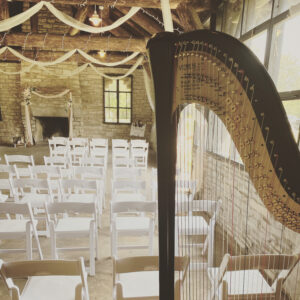 Manistique MI Harpist