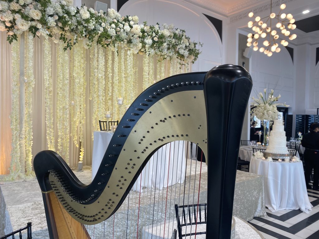 Muslim Wedding Music Chicago