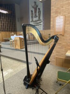 Harpist for Weddings in Wausau