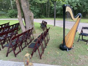Montgomery Harpist