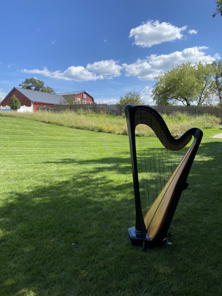 Wedding Ceremony Musician Milwaukee
