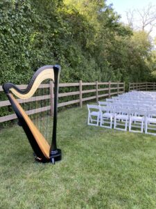 Best Harpist in Milwaukee