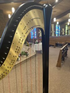 Fond du Lac WI Harpist