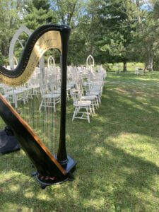 Chicago Harpist