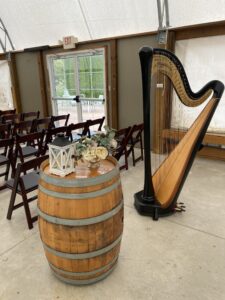Peoria Wedding Harpist