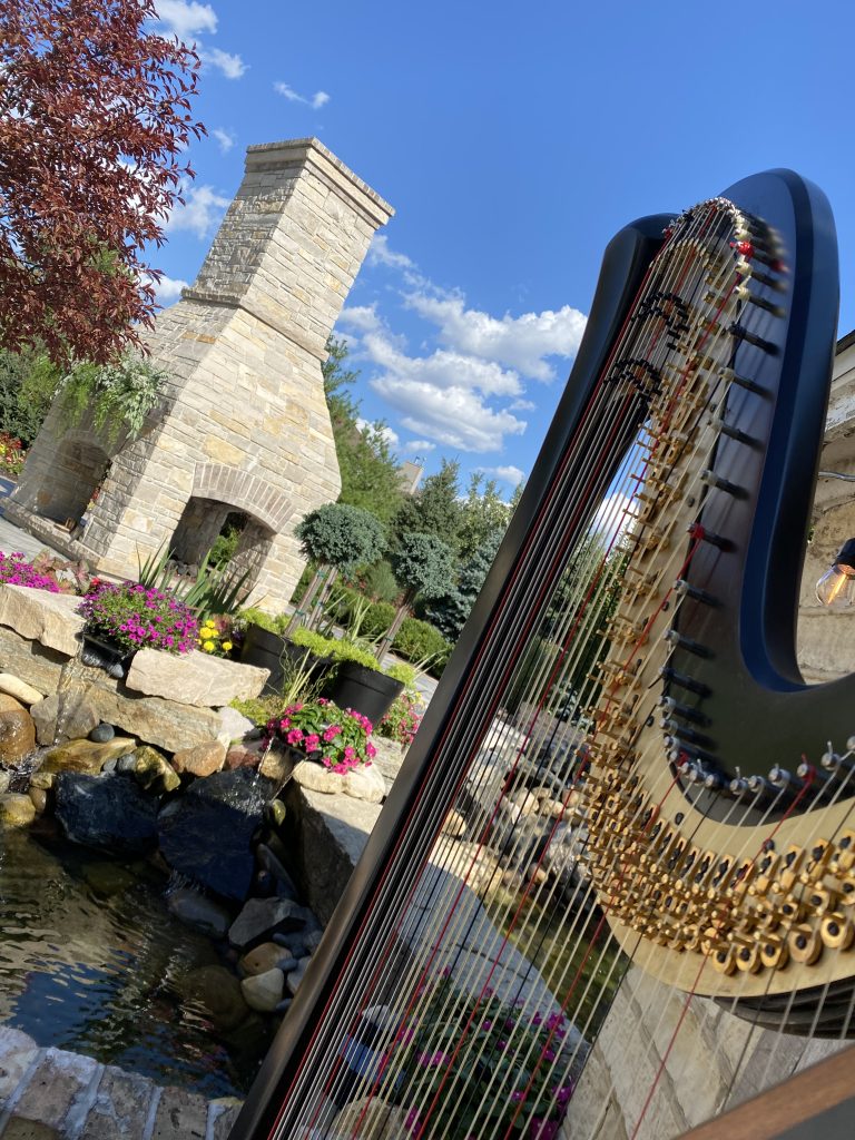 Harpist for Chicago Weddings