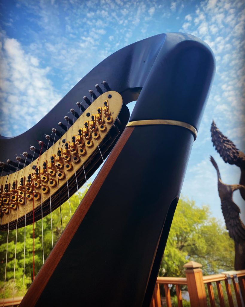 Wedding Harpist Northern Wisconsin