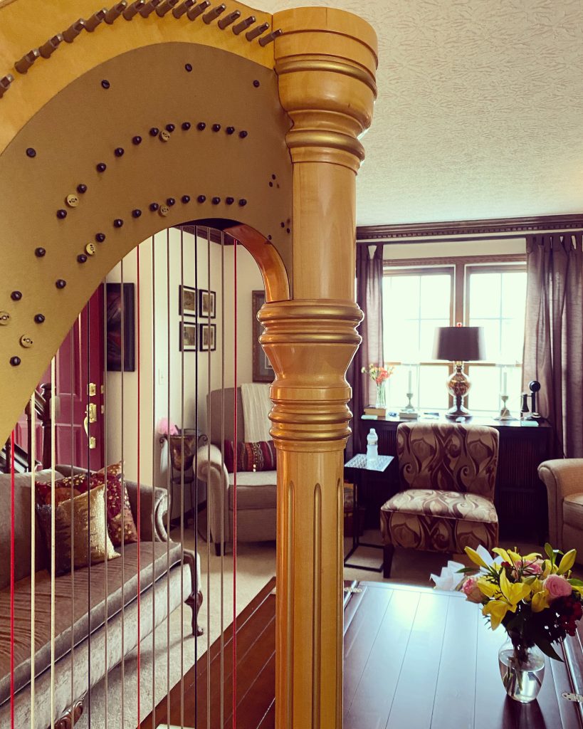 Lancaster Ohio Harpist