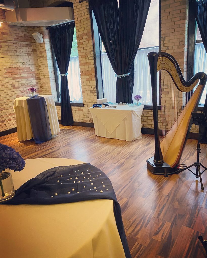 West Michigan Wedding Harpist