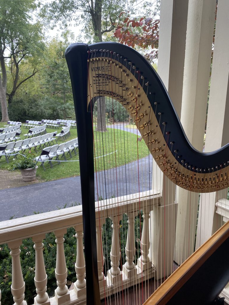 Harpist Missouri