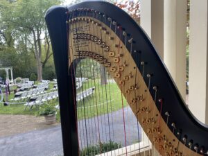 Strings Music for Weddings St. Louis