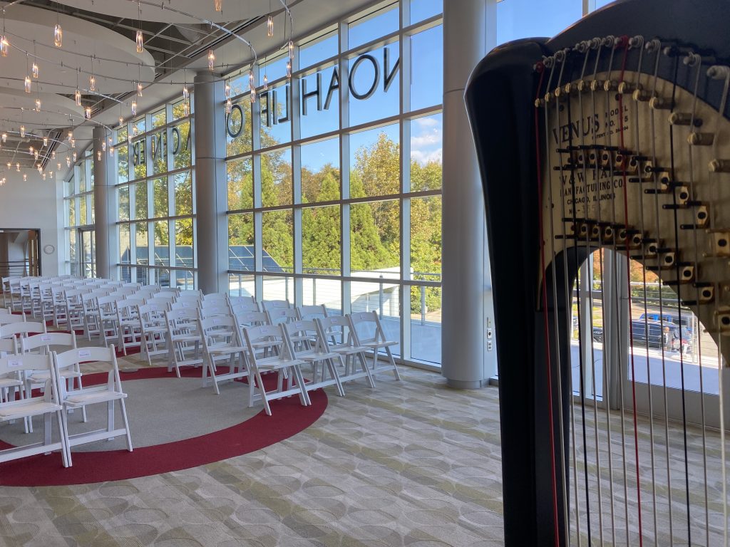 Harpist in Nashville