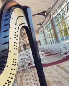 Opera Harpist Nashville