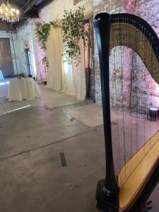 Wedding Musicians in Peoria