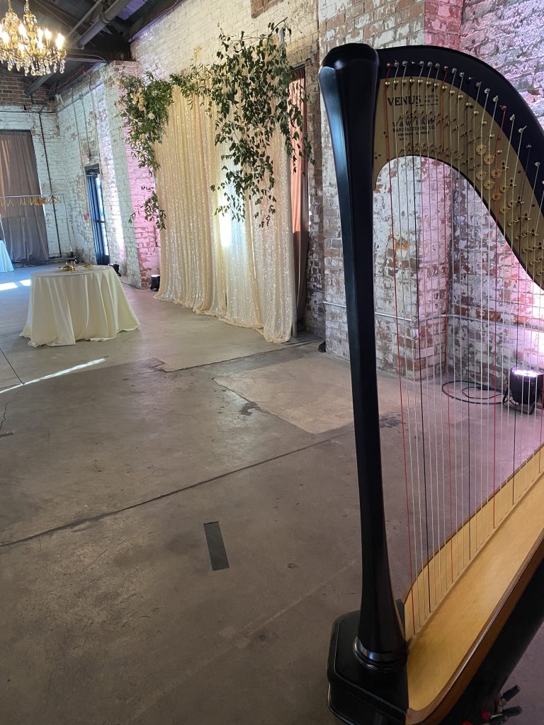 Wedding Music Trio Peoria