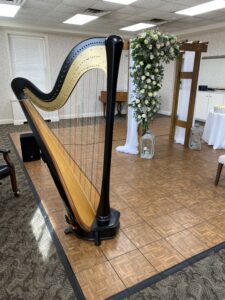 Decatur IL Harpist