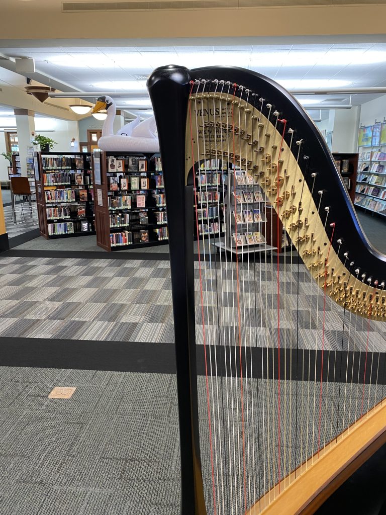 Aurora IL Harpist