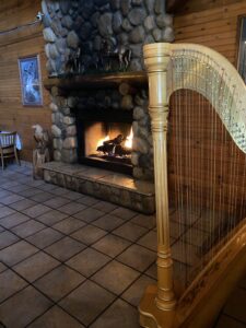 Springfield IL Harpist