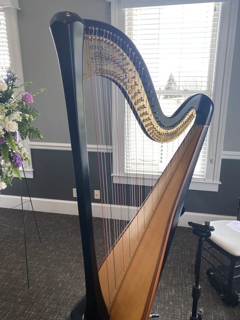 Hilliard OH Harpist
